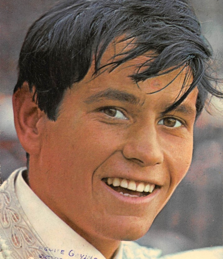 Sebastián Palomo Linares