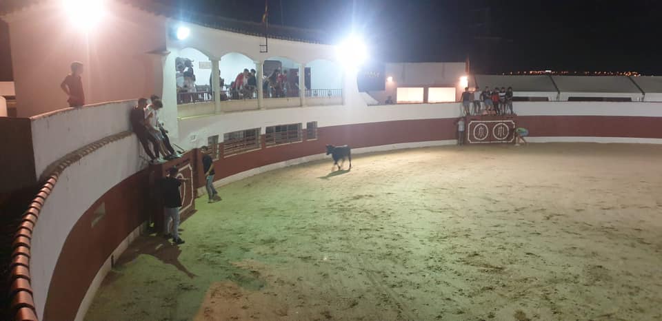 Evento nocturno en el ruedo